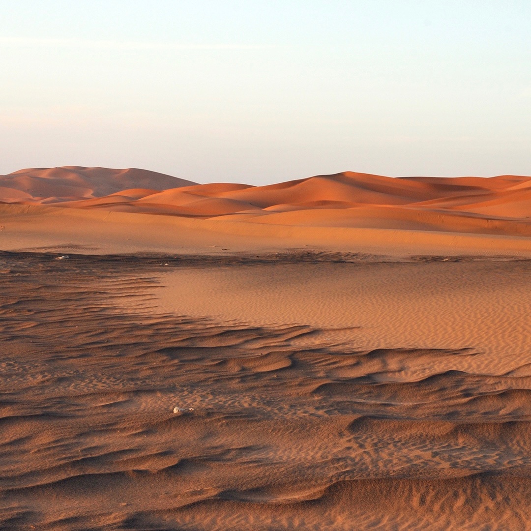 interesting_aIl's tweet photo. Africa’s temperatures are becoming unbearable, even for camels

One herder said 8 of his camel calves died in the last month, with many others getting blisters, watery eyes, and skin burns, per the BBC https://t.co/ucBq3JGtO2