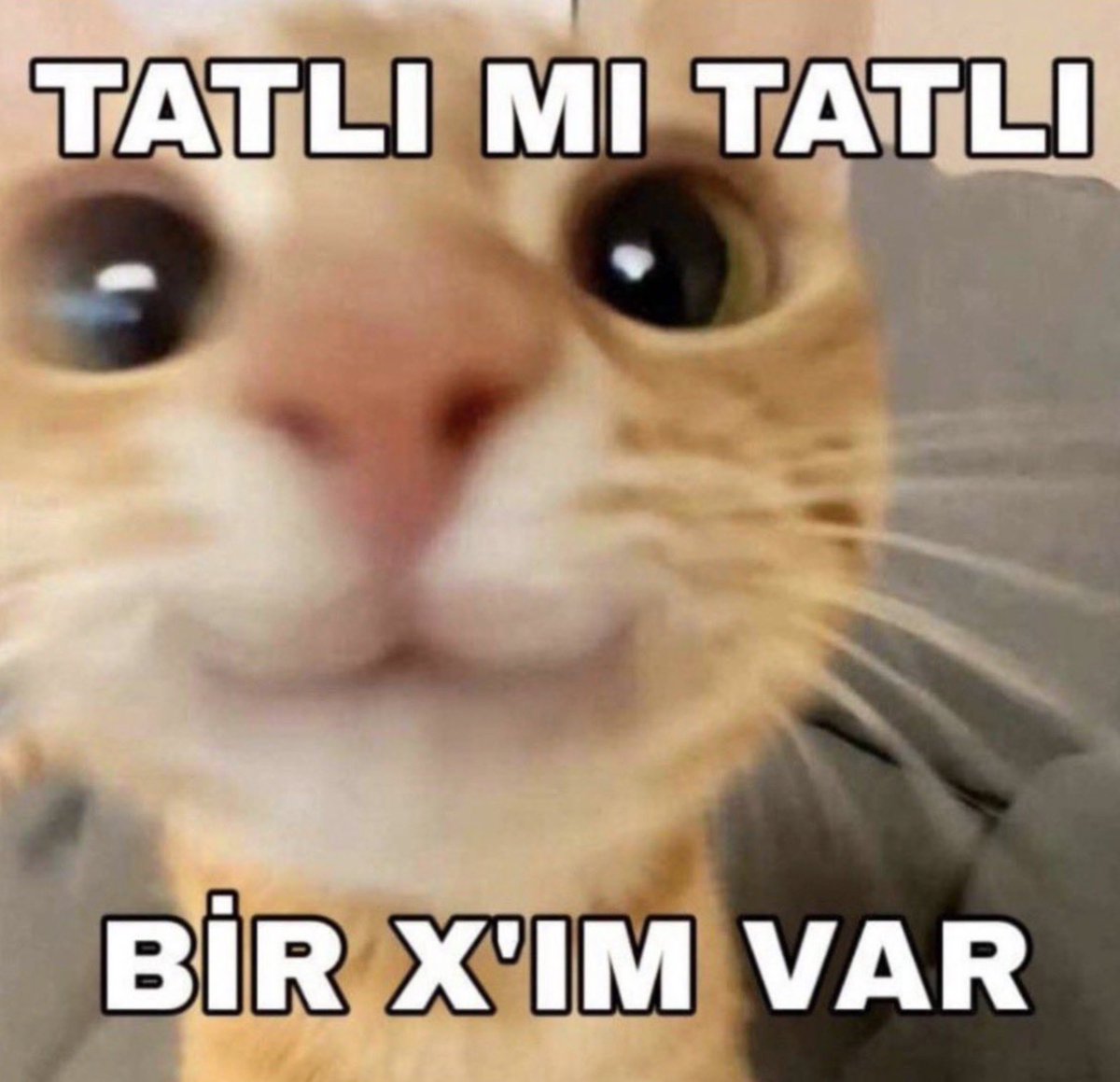 ipek tweet media