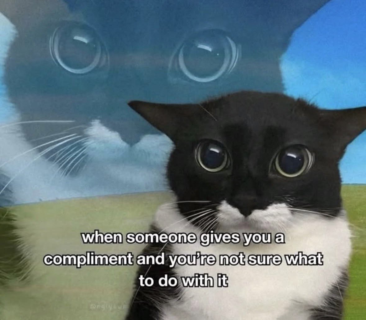 literallymecats's tweet photo. https://t.co/s7IAbiePN7