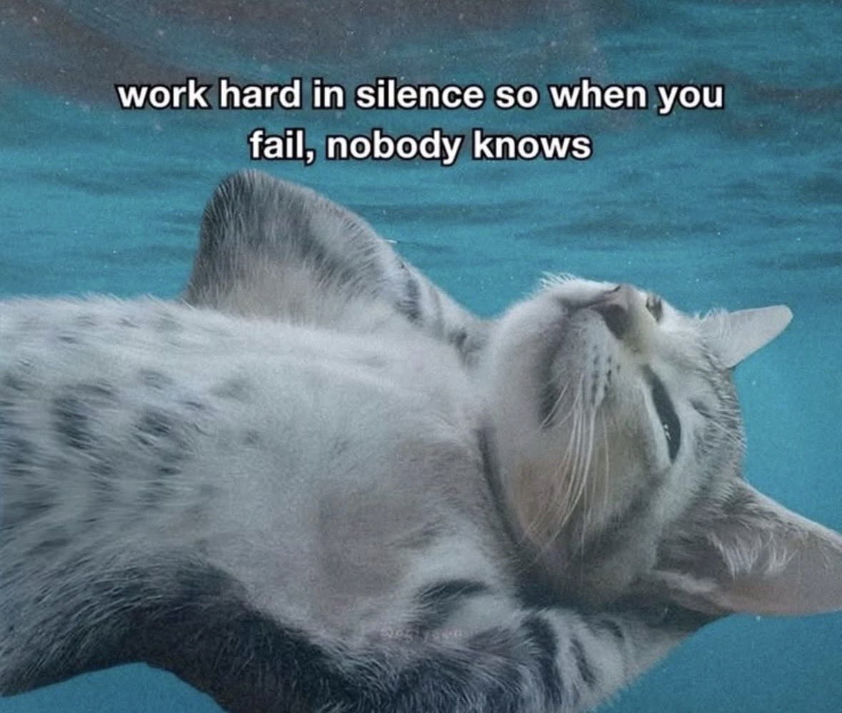 literallymecats's tweet photo. https://t.co/TTMmD4gS2N