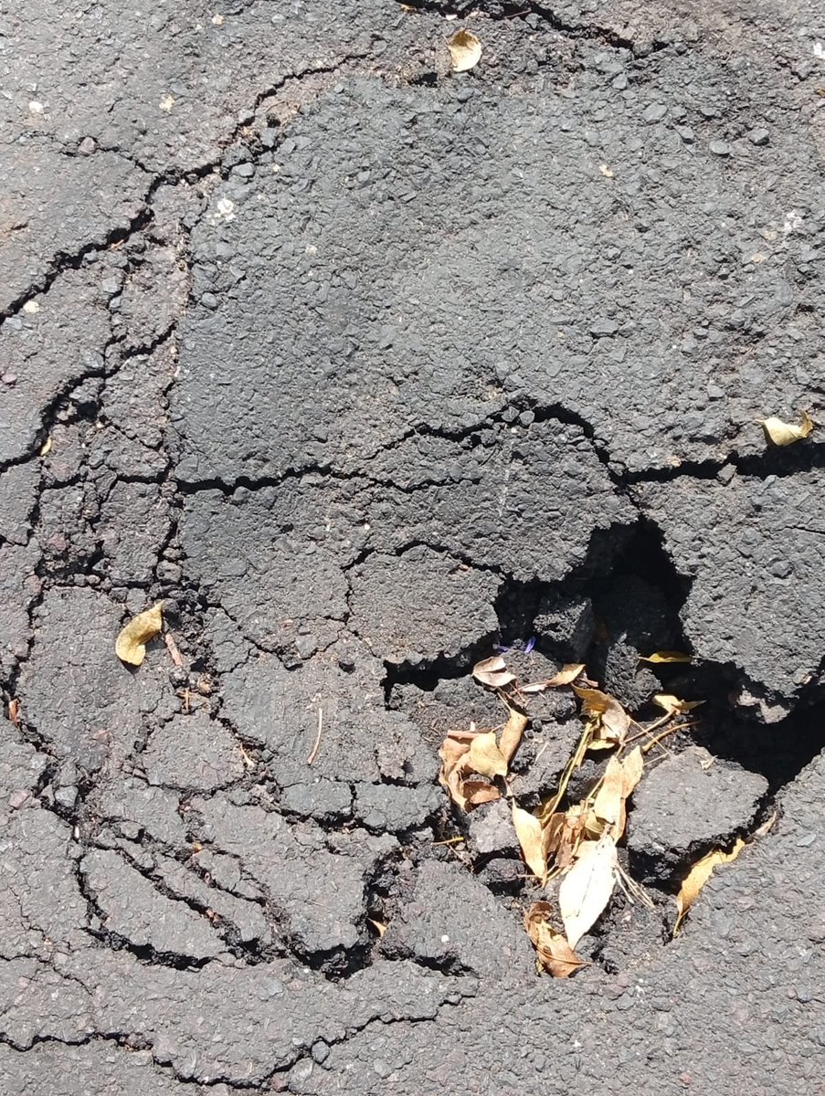Siledi3's tweet photo. Solicitamos su apoyo para reparar un bache que continuamente se hace en calle serafin olarte enfrente del 193 entre mitla y zempoala,  frente al mercado Independencia, urge, varios carros han caído, gracias 
@AccionesBJ https://t.co/Eim0cS7REV