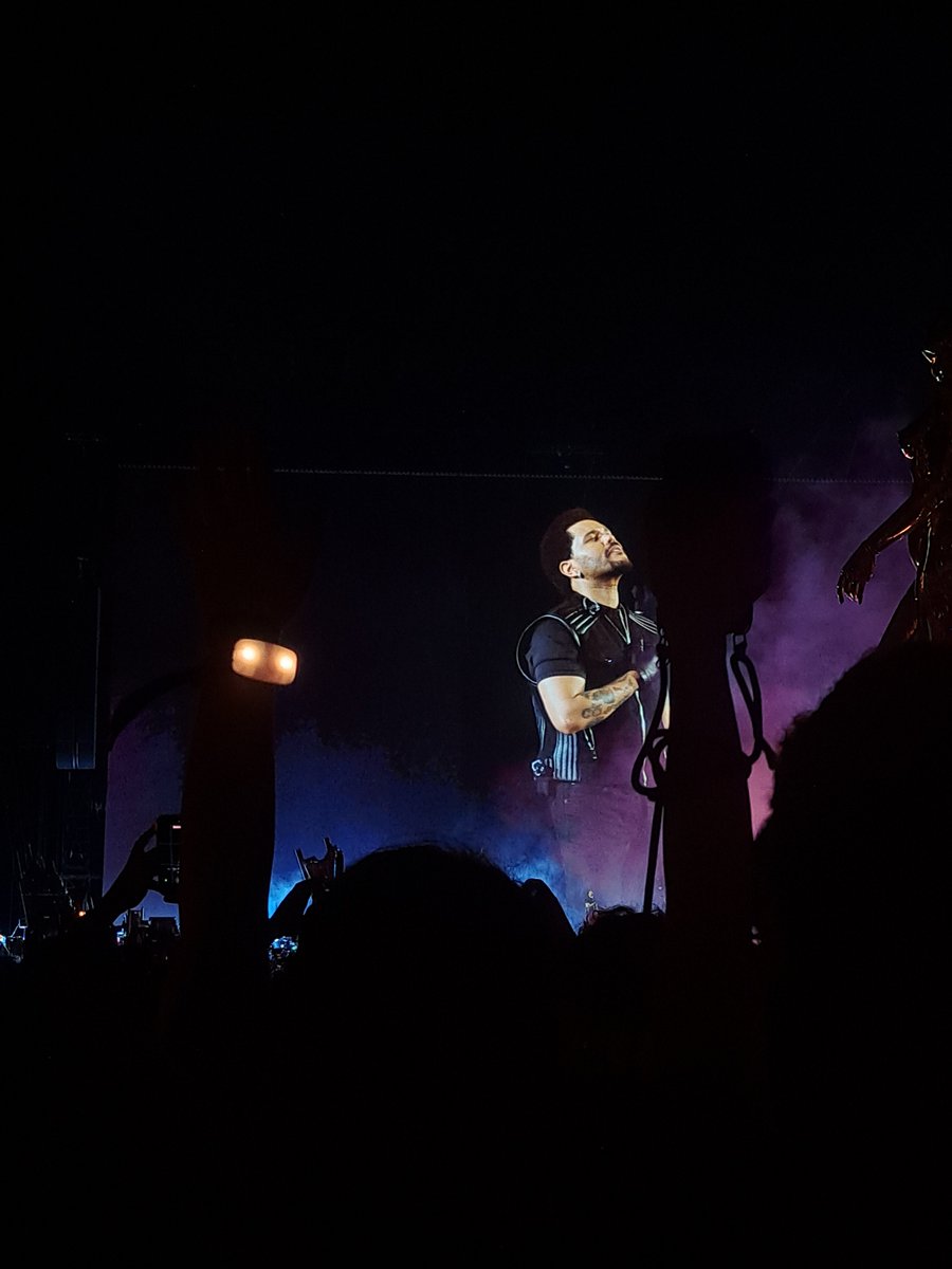 aristesfaye's tweet photo. è già diventato il concerto più bello della mia vita finora, grazie abel ❤️‍🩹❤️‍🩹 https://t.co/PRS0StkyPF