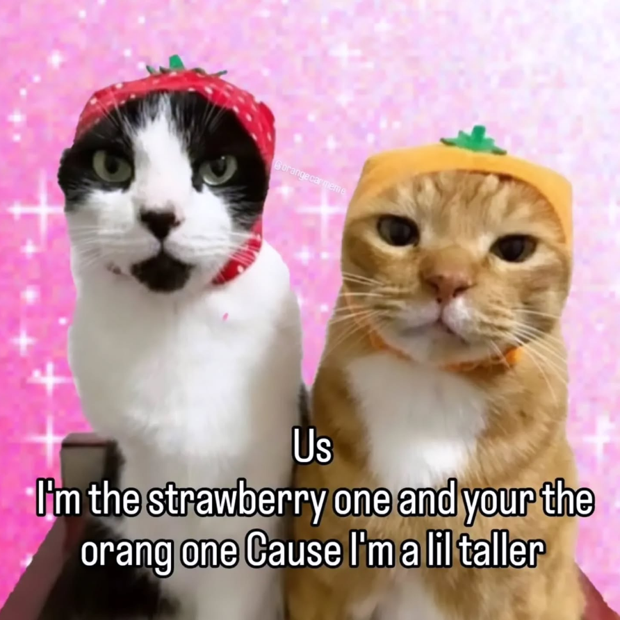 ReddysLab tweet picture