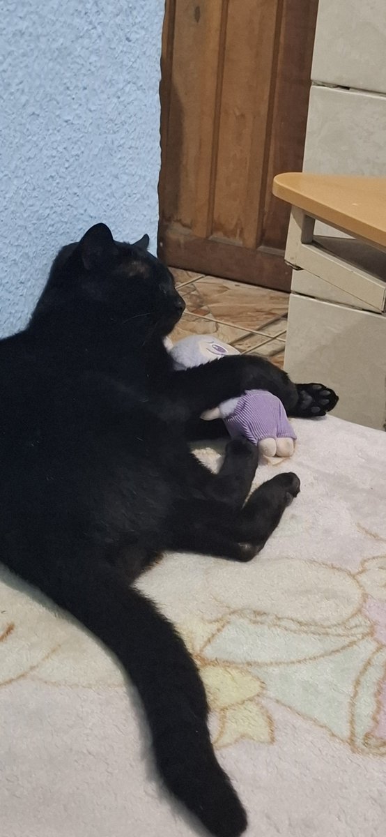kanrojws's tweet photo. tenho, meu pretinho https://t.co/cTZjzvKq5s