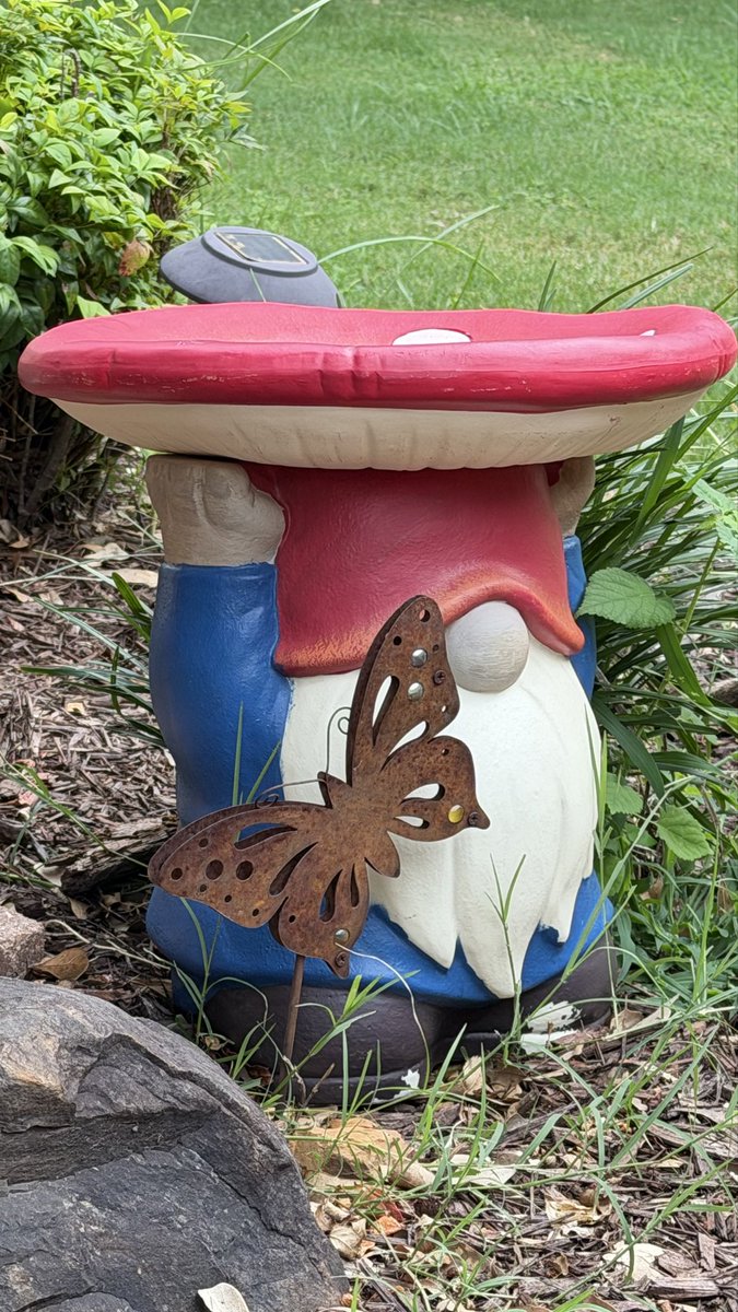KatPopWat2's tweet photo. New resident joined the Watson household last week. He seems nice. Likes birds. #MrGnome https://t.co/Ag11cAwcJG