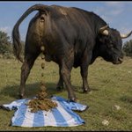 Photo by Kike Parr (@KikeParr)