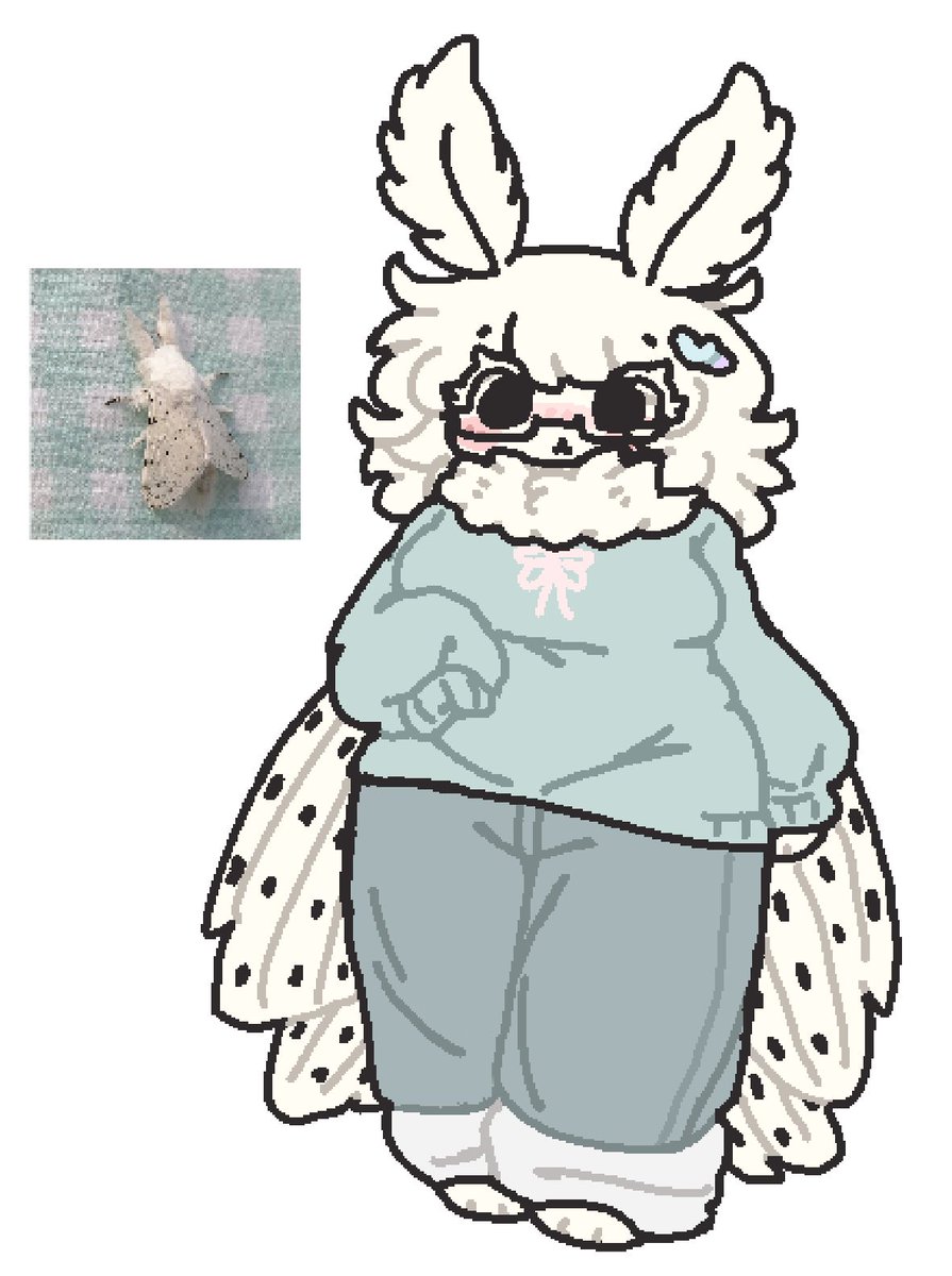 tingusbungus's tweet photo. This is Flurry, lilac's slightly younger (and softer) cousin ! https://t.co/qEmnm25Jw2