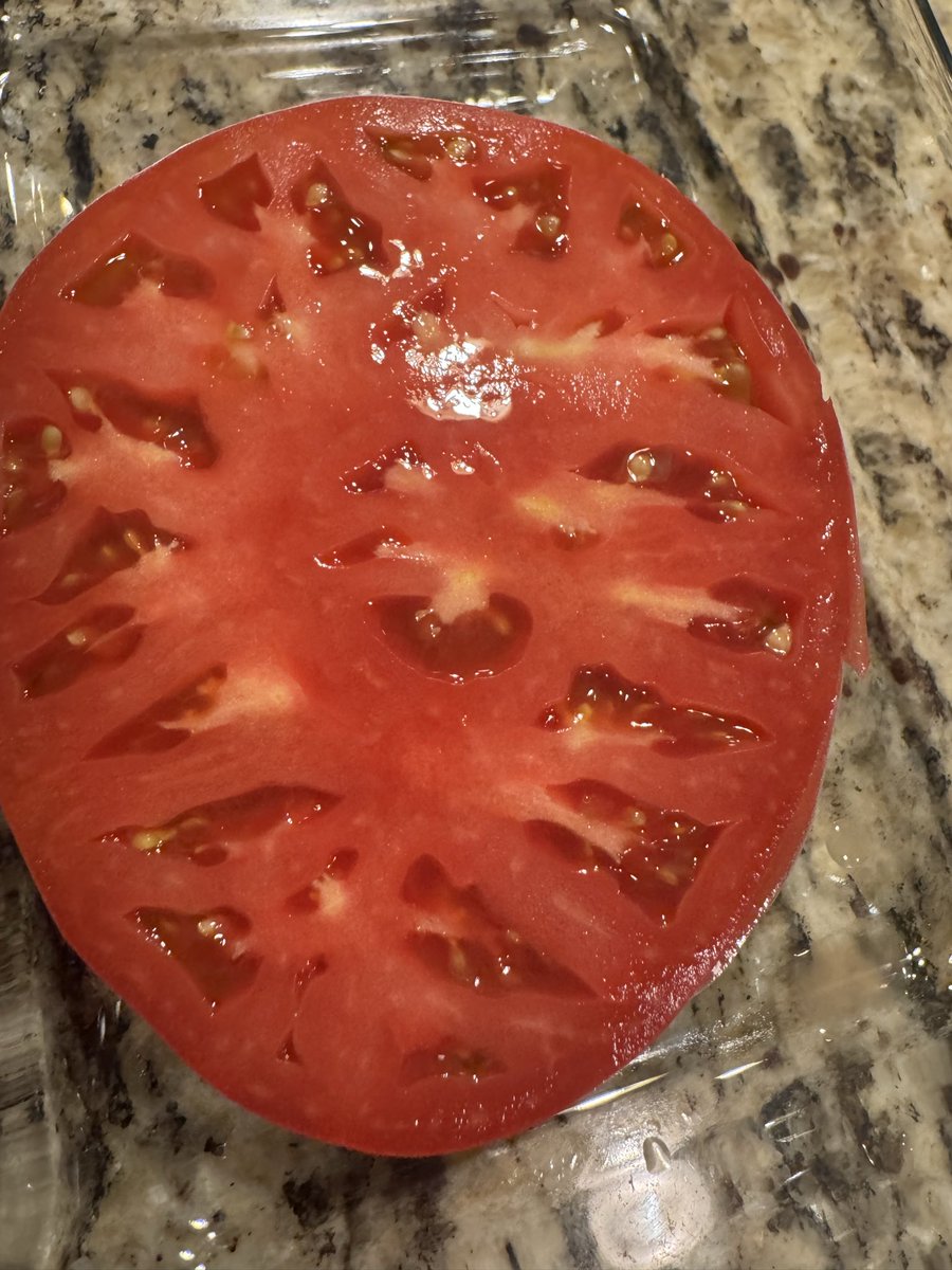 FlatlandPEW's tweet photo. Brandywine tomatoes are work the trouble. https://t.co/Oc2wBOwlyh