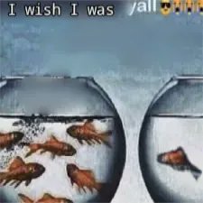 brainrot dimension tweet media