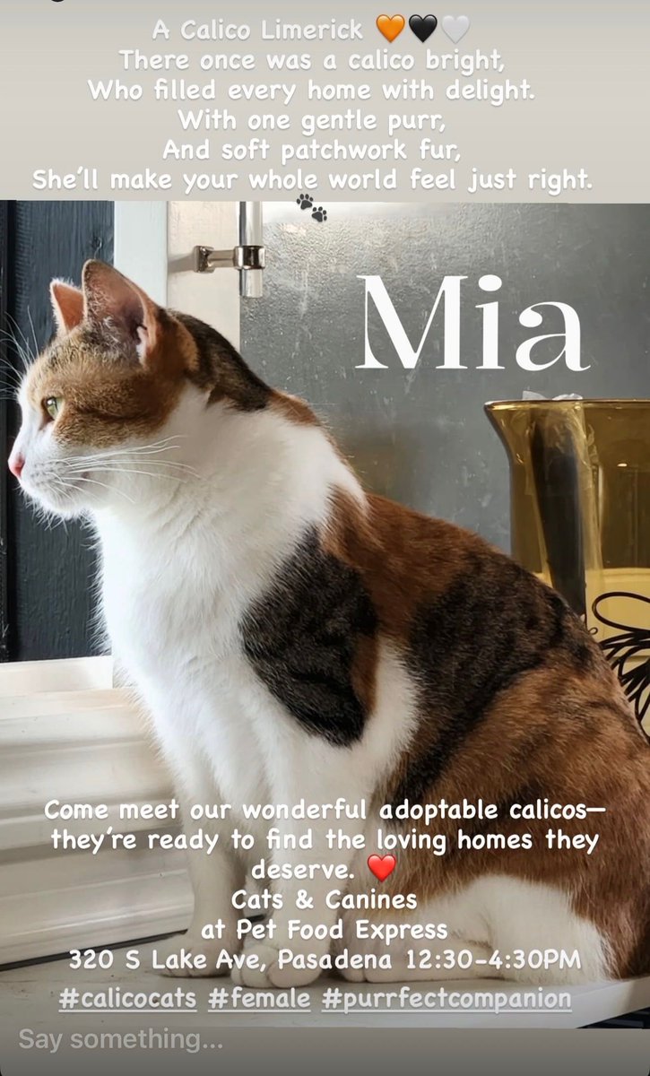 thetnrproject's tweet photo. https://t.co/sSaz0UcOsS

#Thetnrproject #petfoodexpress #catsandcanines #adoptacat #adoptions   #adoptastreetcat #savealife 💘 https://t.co/GLUe4hEJ02