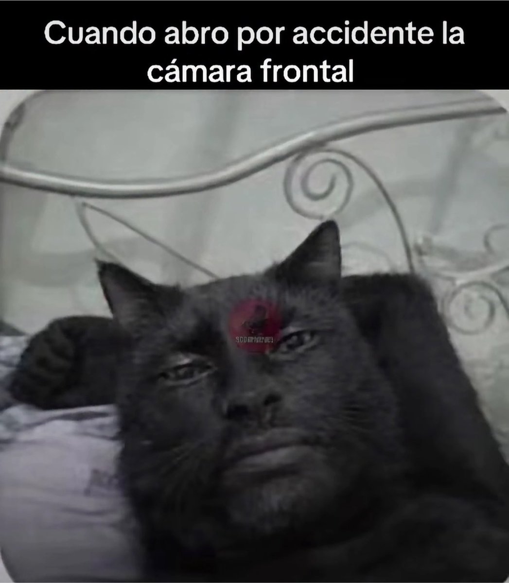 skereunpesado's tweet photo. https://t.co/jlknLsOtJR