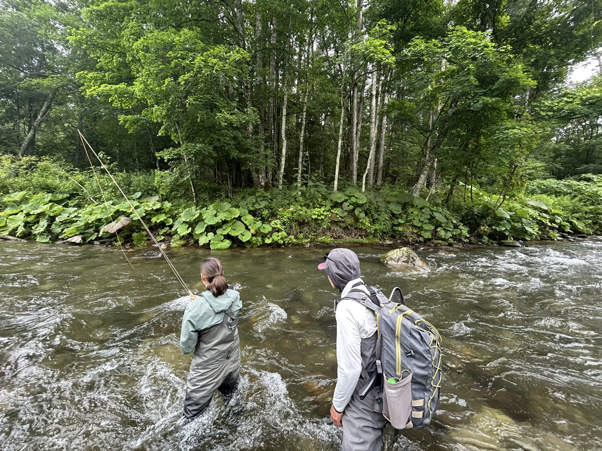 hfs_doto's tweet photo. 北海道釣りガイド🎣
Fishing wild rivers in Hokkaido, Japan 🎣🇯🇵
Beautiful scenery, powerful trout, and unforgettable moments.
Fly&Spinfishing🐟
📩 Book your fishing adventure
https://t.co/YvSc92kvOs.service@gmail.com
#HokkaidoFishing #JapanFishing #FishingGuide #FlyFishing https://t.co/ZXLFGwO9qT