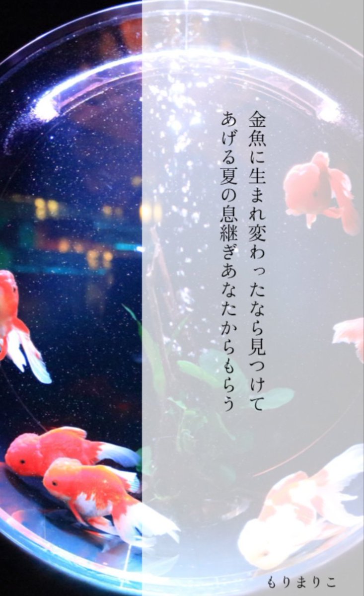 短歌がうまい人はたくさんいる。コンテスト含めてわたしは負け続けてき