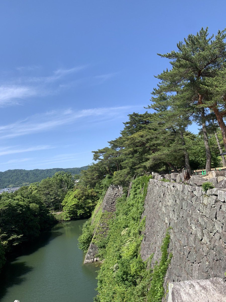 Oda_Kocho's tweet photo. 伊賀上野城

滋賀県出身の築城の名手、藤堂高虎が手がけたこの城の高石垣は何度伺っても圧巻でした

#伊賀上野城 #城巡り https://t.co/SSaiFAt1es