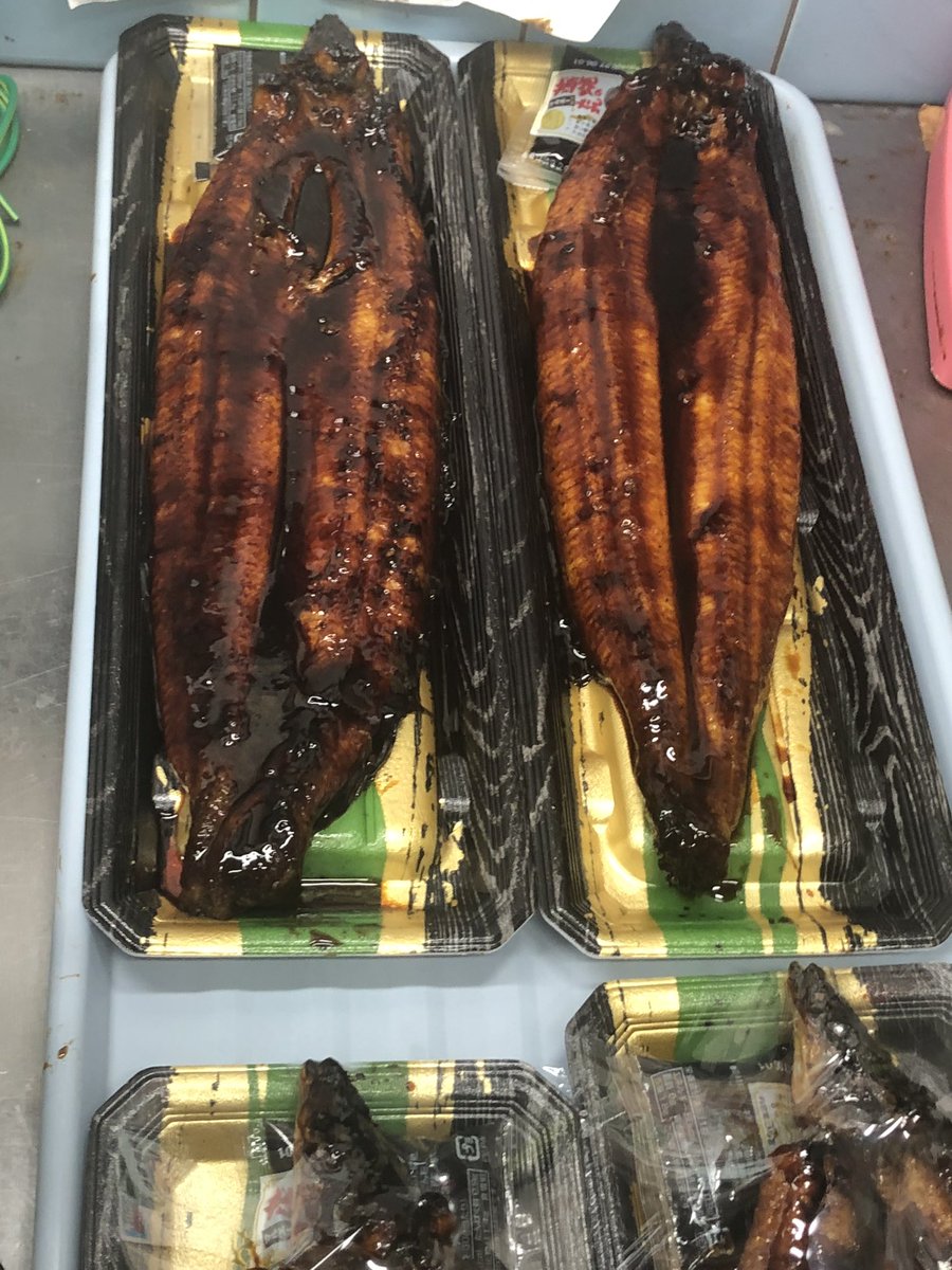 kf3510's tweet photo. 本日、土用丑の日です。

うなぎを食べて暑さに勝つ‼️ https://t.co/KkRnc1HCma
