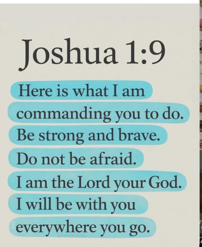 Bible Daily tweet media