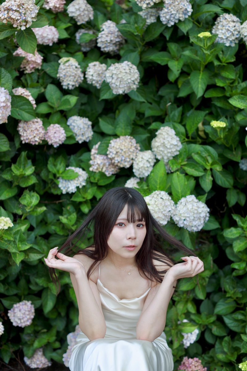ken__portrait's tweet photo. 彩香さんリク撮 at 根尾川ガーデン
@aaaaa_____ya_ 
彩香さん二度目の撮影📷
紫陽花乱舞💐
また撮らせて下さいね🙏
#ポートレート #紫陽花 #根尾川ガーデン https://t.co/6SBBk2sEWZ