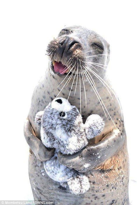 fluffygirlpaws's tweet photo. i just found something which i think is very important https://t.co/sRPryKi8CD