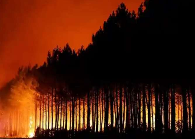 teleSURtv's tweet photo. 🚨 Venezuela se solidariza con España y Francia por incendios que dejan más de 250.000 evacuados

🔴 El canciller Félix Plasencia transmitió el respaldo del Gobierno venezolano ante los focos críticos en Madrid, Ávila y Gironda, que destruyeron miles de hectáreas. https://t.co/3JM4w4D2BS