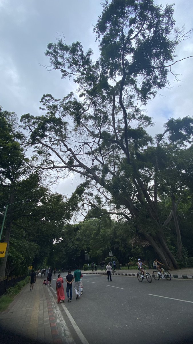 imrhythms1's tweet photo. cubbon mornings. 

ran 7 kms. https://t.co/TCCCP1HEeC