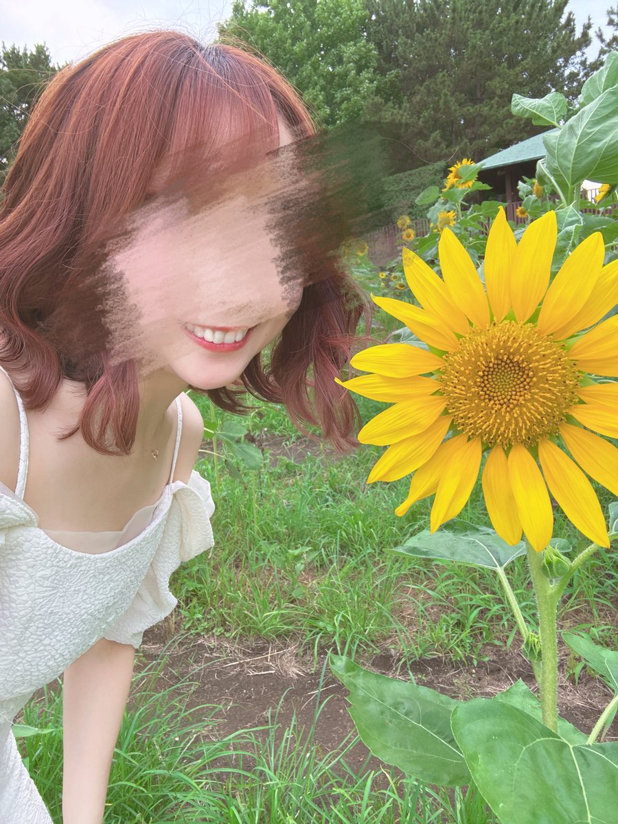 Lam_dayo's tweet photo. ひわまりの季節 https://t.co/ISkuZdamHN