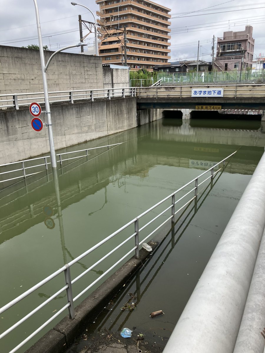 estainless's tweet photo. 1週間経ったが未だ水位変わらず、もうカエルが鳴いてるどこから来たのか https://t.co/MxAjYsNAjS
