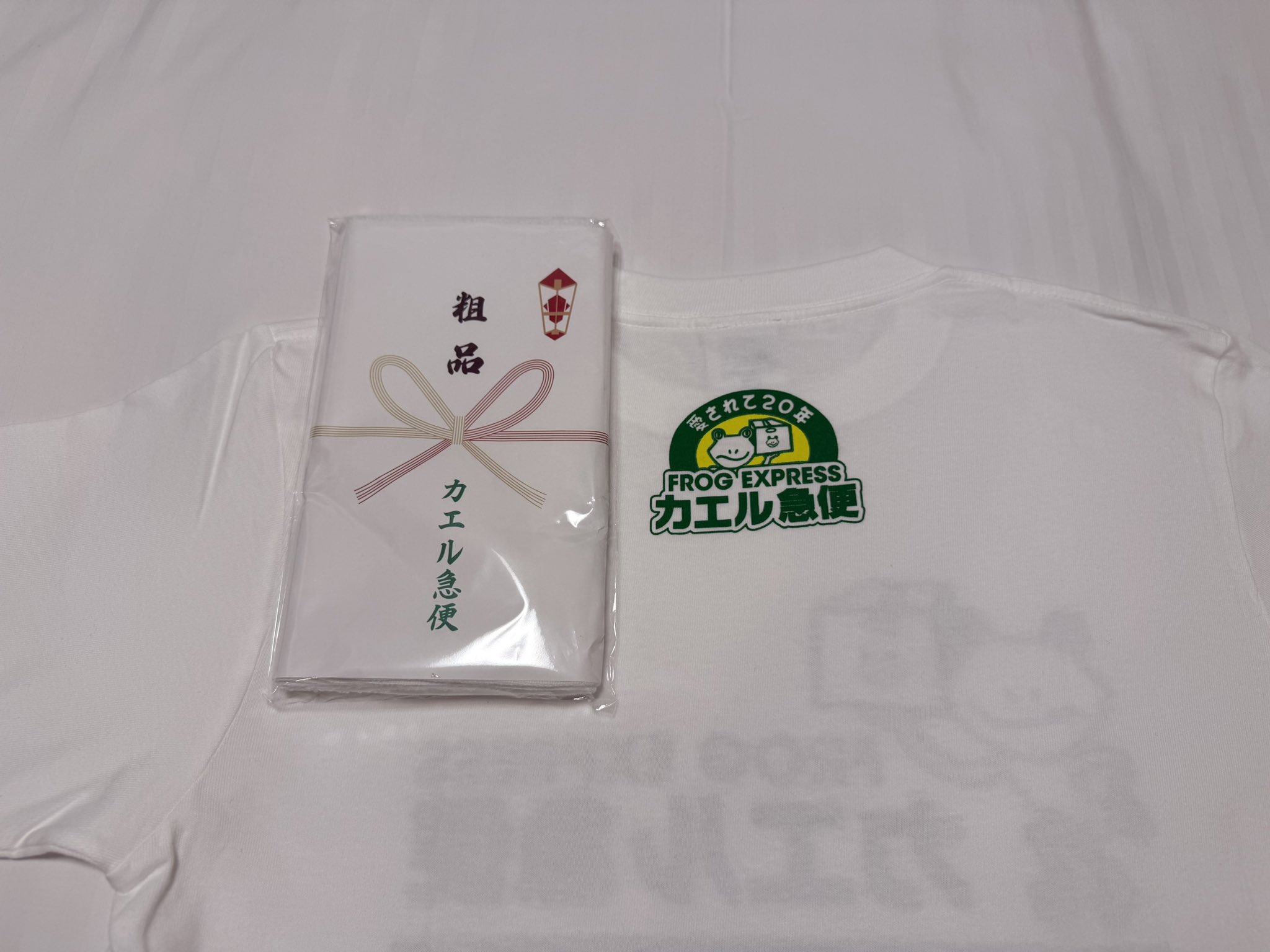 掘出し物】 カエル急便 ナイロンコート FROG EXPRESS 踊る大捜査線