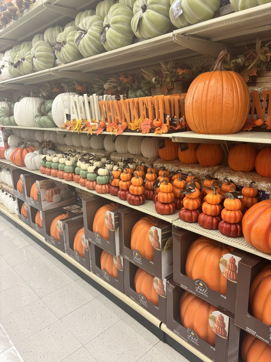 Reshamonaee's tweet photo. Why so many choices lol 😂 #hobbylobbyfein https://t.co/tKDggJssoT
