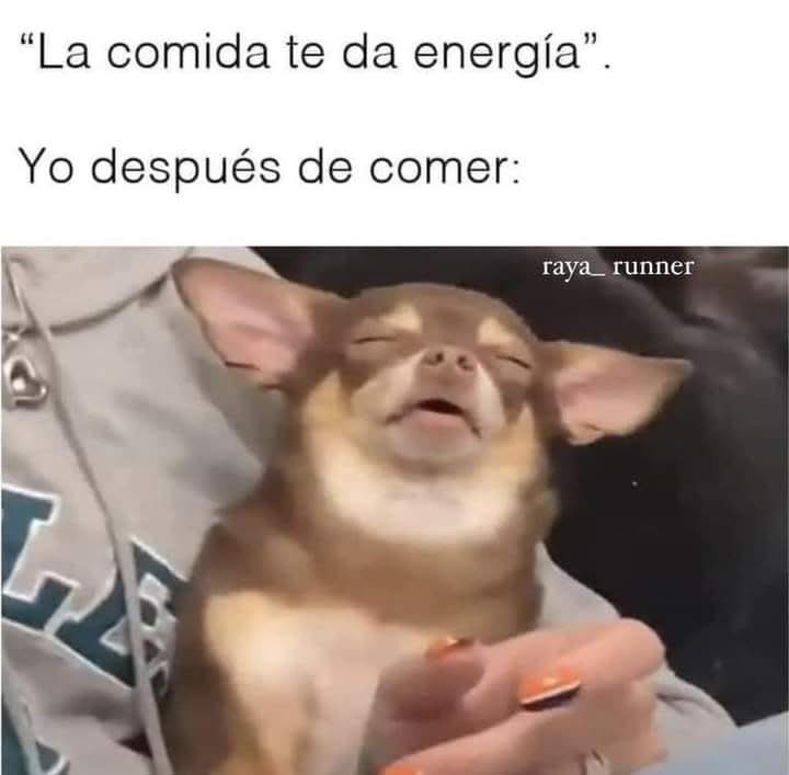marq31995's tweet photo. Yo después de comer https://t.co/GOxuXore2u