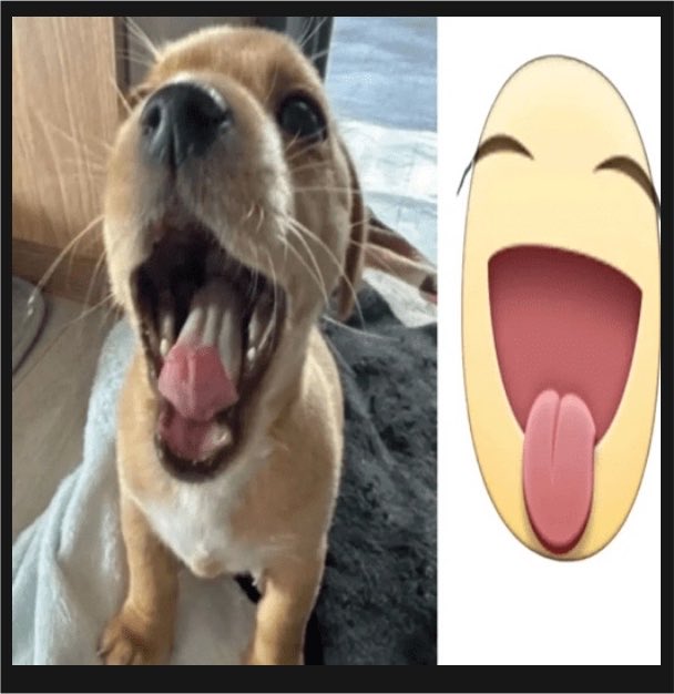 anascrfl's tweet photo. primo filhos da minha tia. Meu irmão (primeiro neto) teve filha, minha prima (segunda neta) ta gravida, ou seja o proxima é ter filho é a terceira neta, e eu sou a quarta neta. Entao eu so vou engravidar dps que minha prima mais velha engravidar https://t.co/KZy7358FBt