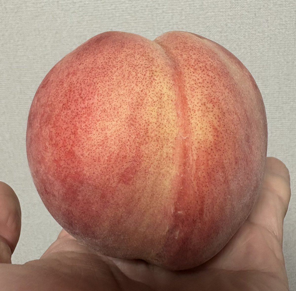 satorusp's tweet photo. 🍑 https://t.co/XeyAUq3Jbx