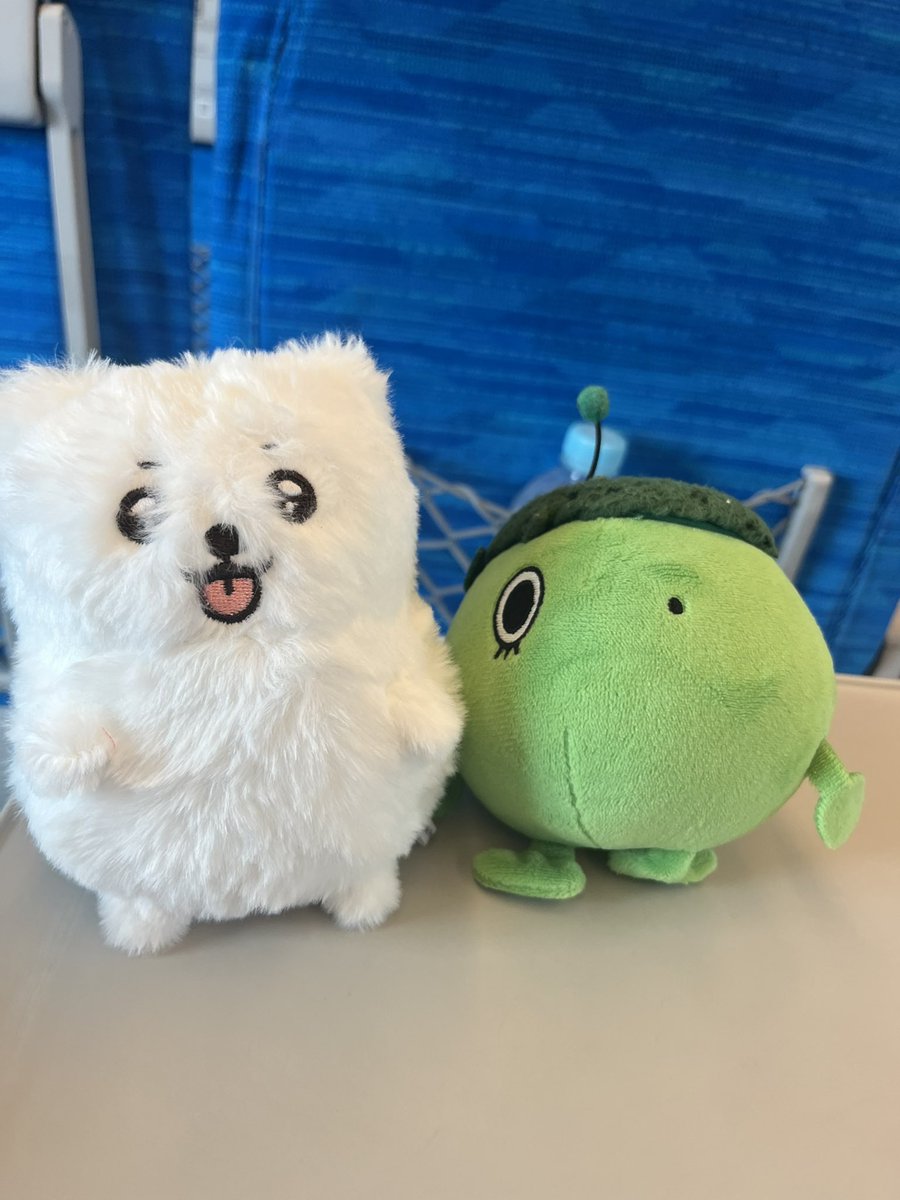 md_4126k's tweet photo. 新大阪向かうぞ〜！！
この日のために仕事頑張った…まじで……推しが二人揃ってトークショー…ありがとう… https://t.co/qtl79tH0P8