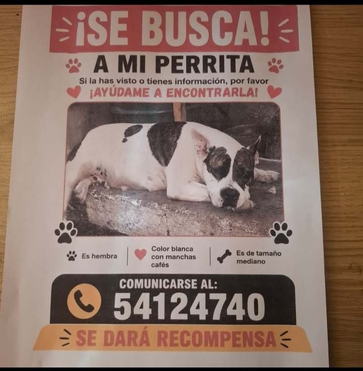 guatexanimales2's tweet photo. #repost https://t.co/RZGyVyFvgP