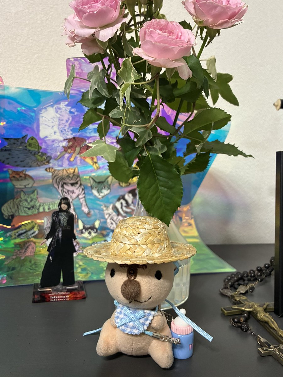 necoco712's tweet photo. 夏のﾘｯｽ🐿️☀️ https://t.co/Mk5TVYqwkP