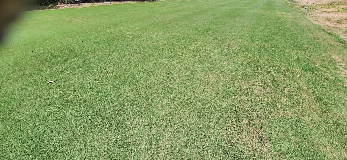chatfield_gary's tweet photo. Was recently at a golf course that sells turfgass on the side...
Amazing the amount of contamination in the different plots...
Obviously their customers get the promotion offer of Buy 1, Get 1 free...  lol https://t.co/ofsH1Lb9cq