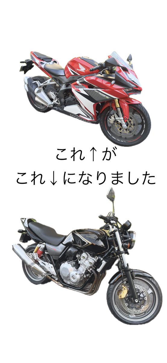 dongurimon's tweet photo. こうなりました https://t.co/r3Os8jOqju