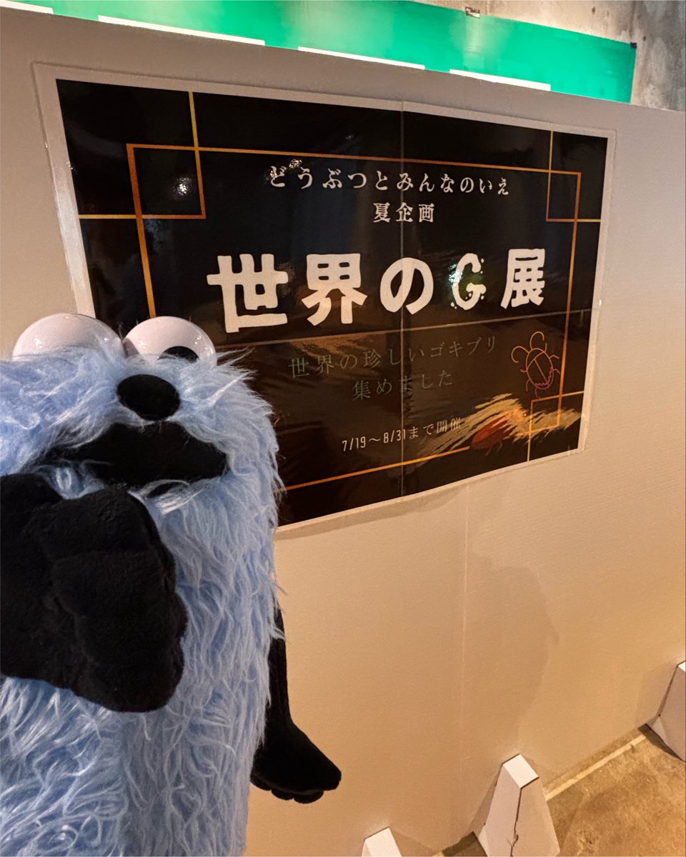 piiconic's tweet photo. そういえば昨日行ったとことんでもないコーナーがあった。写真撮るのも無理なレベルの生きてるG😂
5種類くらいいて姿が見えなかったら回転させてみてねってケース動かせたんだけど1mmも近づきたくなくてじっくり観察してる人すごいなと思ったw https://t.co/rHiAByU7RO