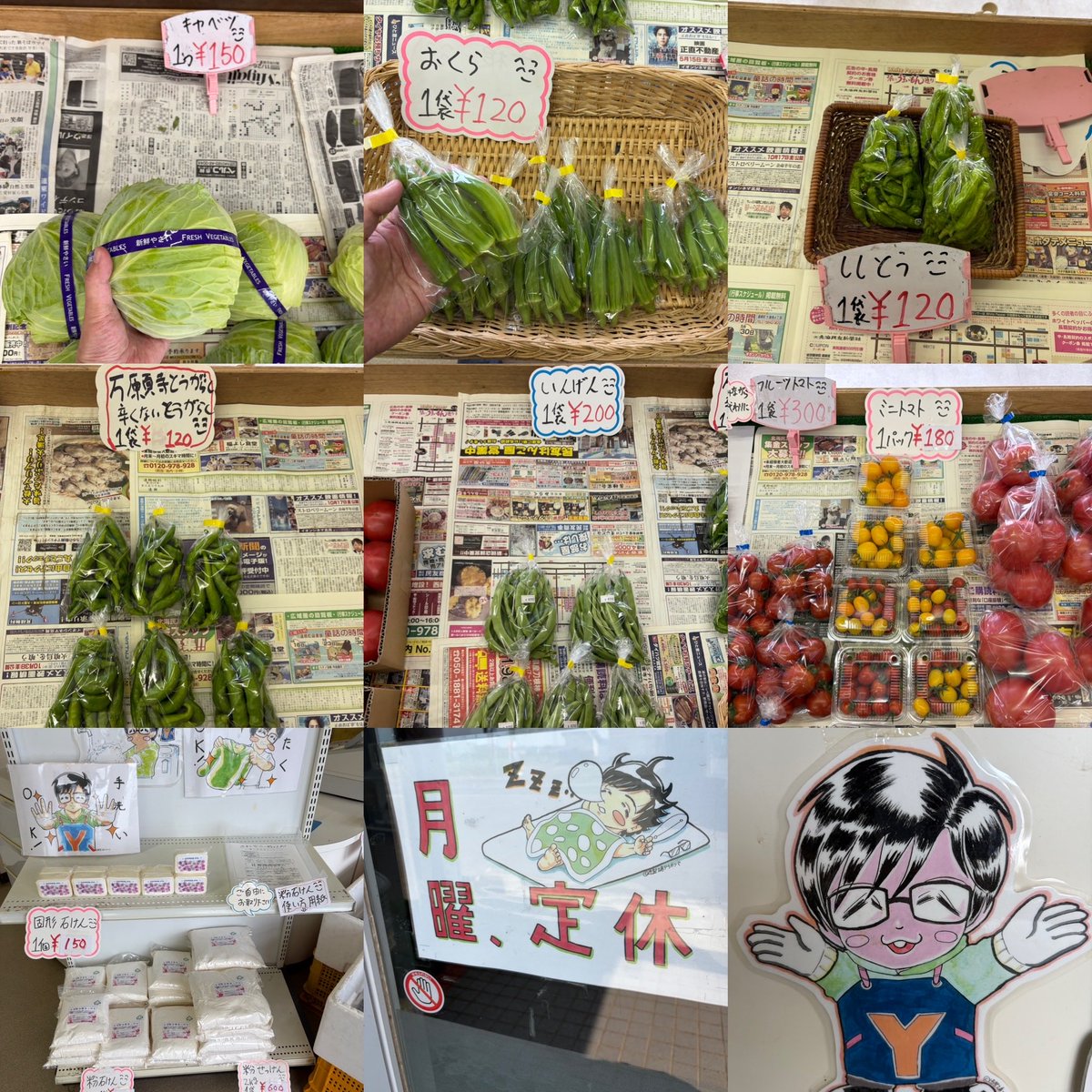 ryo4503's tweet photo. おはようございます
\( ´ω` )/🍅🥒🥦
昨日あたりから
学校夏休み期間中です
お子さん等に
今夜の献立に野菜
いかがですか？

朝10時ゆうゆう
野菜直売所開店です
定休日前の営業です
商品のお問い合わせは
090-9438-1831にて
お願いします
#湧別
#野菜直売所
#野菜
#切り花
シソジュースなどに
#赤紫蘇 https://t.co/2eGIDwA2An