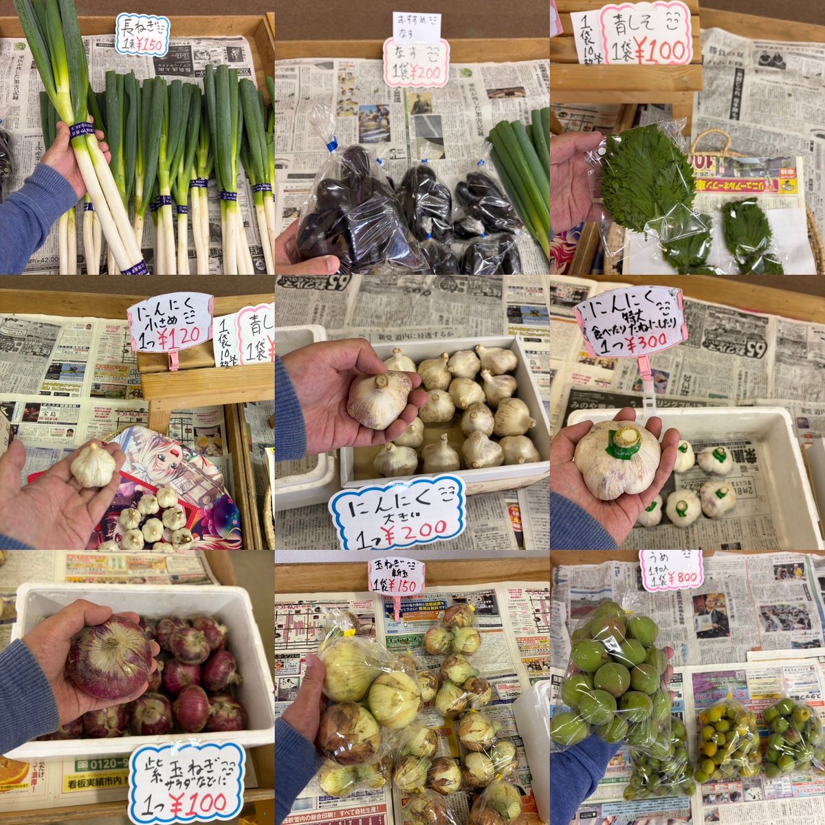 ryo4503's tweet photo. おはようございます
\( ´ω` )/🍅🥒🥦
昨日あたりから
学校夏休み期間中です
お子さん等に
今夜の献立に野菜
いかがですか？

朝10時ゆうゆう
野菜直売所開店です
定休日前の営業です
商品のお問い合わせは
090-9438-1831にて
お願いします
#湧別
#野菜直売所
#野菜
#切り花
シソジュースなどに
#赤紫蘇 https://t.co/2eGIDwA2An