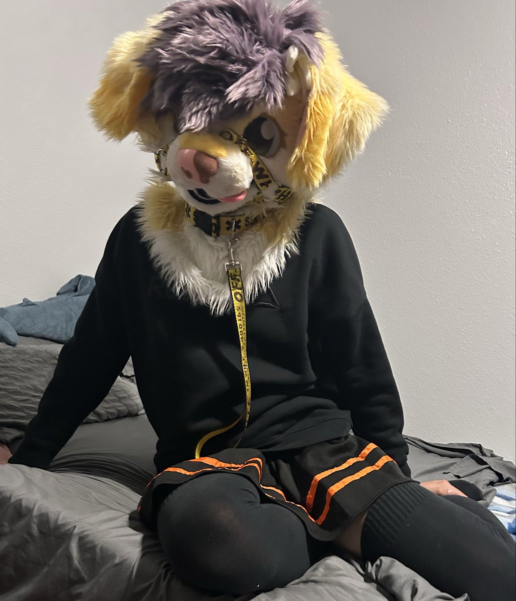 figsthedog's tweet photo. YAY 100 FOLLOWERS !!!! small milestone but still happy about it, thank you guys !!! 

here’s some cool pictures of me with a milkshake

#furry #fursuit #femboy https://t.co/WsUDtPF9D3