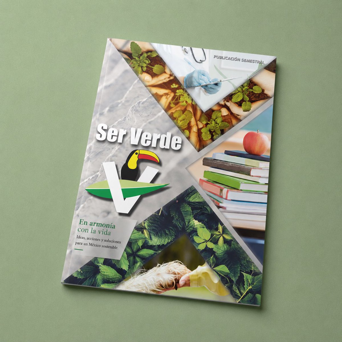 partidoverdemex's tweet photo. 🌿 Ser Verde es una revista para reflexionar sobre el medio ambiente, la salud, la educación y las acciones que necesitamos para construir un México más sostenible.

📖 Descúbrela y conoce temas que impulsan la conciencia y el cuidado de nuestro entorno. 💚

Consúltala aquí 👉 https://t.co/rNZb7r1dMp

#SomosVerdes