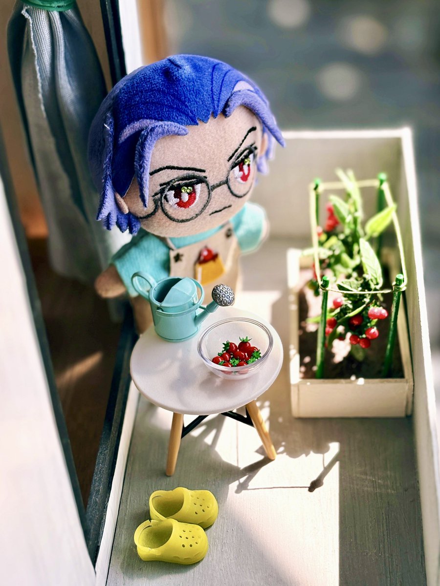 snyksnmn's tweet photo. おはよう
トマト取らせてな🍅 https://t.co/EqtoWhfIXR