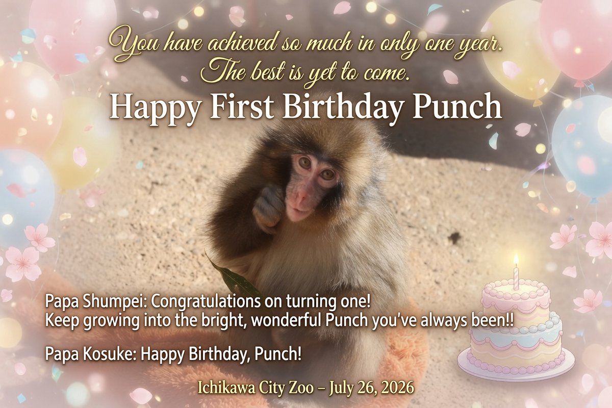 Presenting Punch tweet media