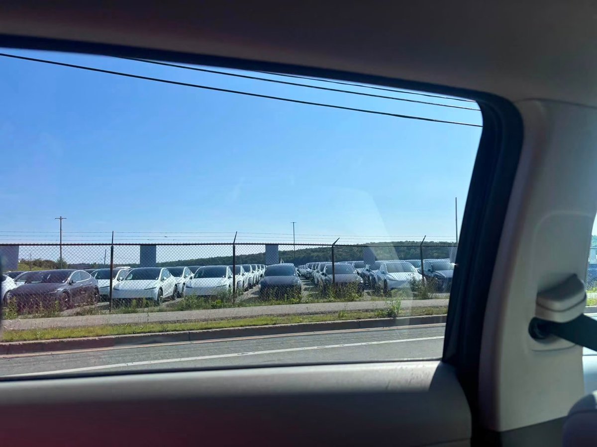 DriveTeslaca's tweet photo. More Tesla Model Y have arrived in Halifax from Germany 🇩🇪 🇨🇦 

📸: Jonathan L https://t.co/S669qVEuXu