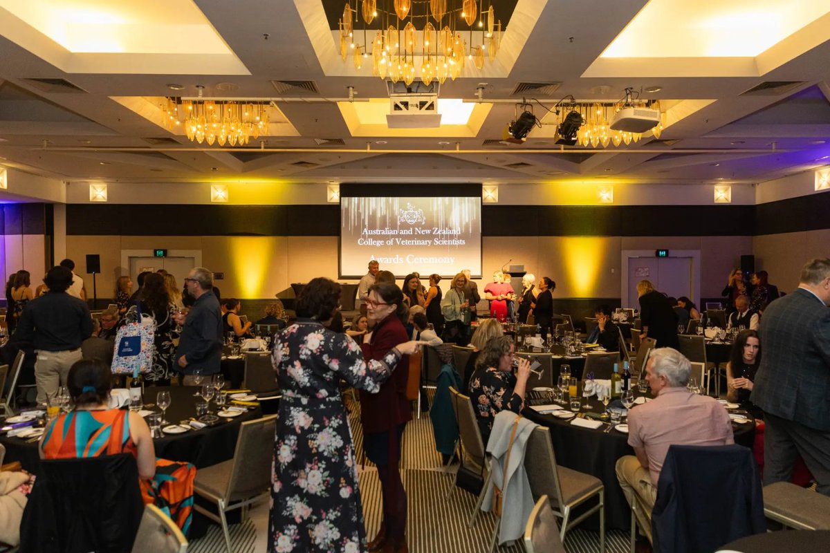 anzcvs's tweet photo. Glamour meets veterinary science! 🥂✨ The annual ANZCVS Awards Dinner took place at the Crowne Plaza last night and what a night it was.

We swapped the scrubs for cocktail attire to celebrate outstanding milestones and excellence in our... https://t.co/6GElm2u7si
