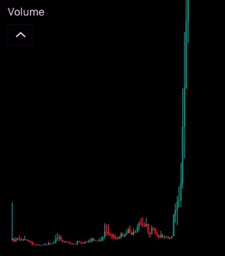 ElonMuskPDA's tweet photo. MEMECOIN SZN 🟢🚀 https://t.co/mm8utKOfRL