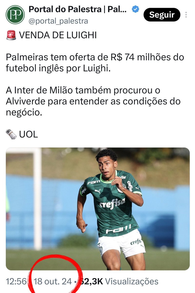 porco verde tweet media