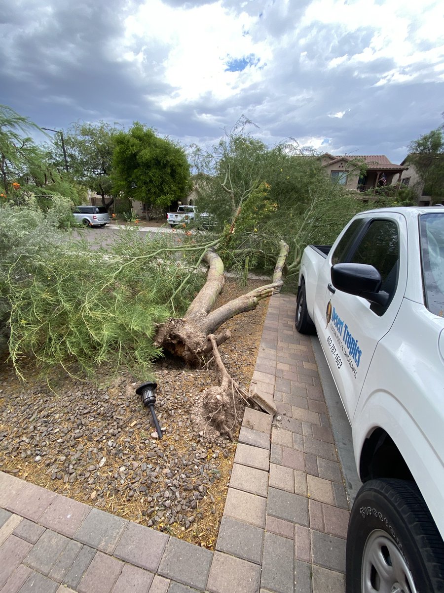 casey59832170's tweet photo. @papahenz_wx My little Batman saved the day.. that was a close one! https://t.co/FEsNhpRAYk