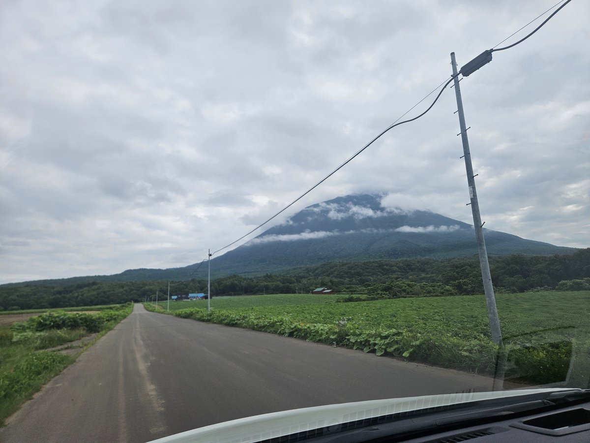 mozz_game's tweet photo. ようていざん☁

帰ってディーラーします(｡⊿°」∠)ﾓｯﾓｯ https://t.co/ISWFbwgFje