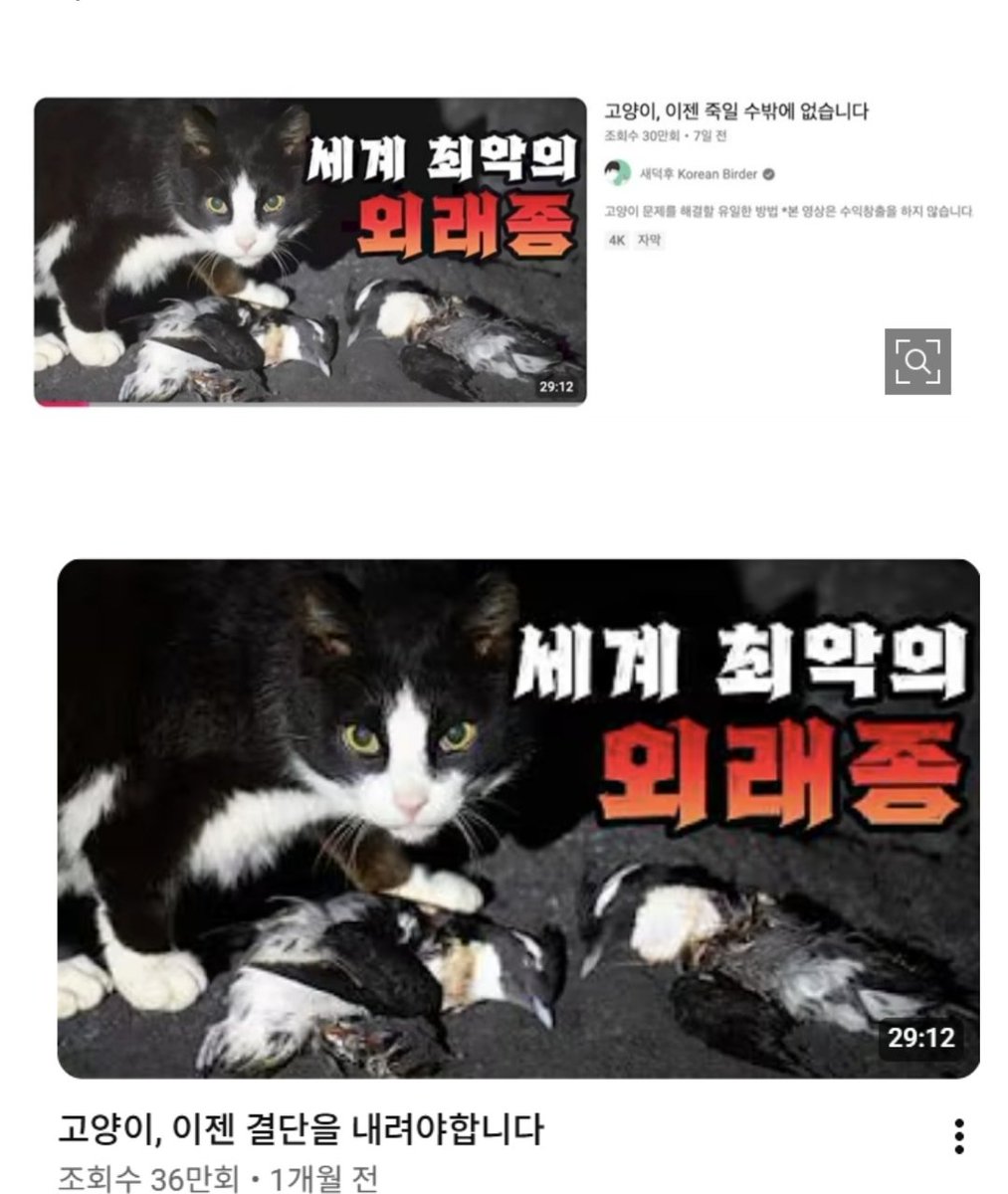 burn_uuu's tweet photo. 찐 동물애호전문가들 나와서 밑장빼지 말라고 해 그런가 채널 신고 들어가서 그런가..아무튼 슬그머니 조회수용 인셀남타겟 자극적인 제목 수정하더라?꼴에 고양이혐오가,고양이살처분운동가는 되기 싫은가봐

✊️조류애호가라고 미화해 부르지 말고 고양이살처분운동가라고 똑바로 불러주기 운동✊️ https://t.co/OPhHF7TEOL